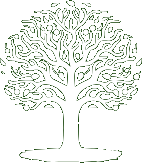 Elm Strategies